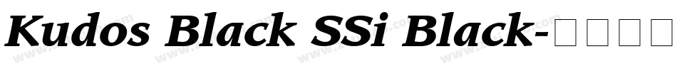 Kudos Black SSi Black字体转换